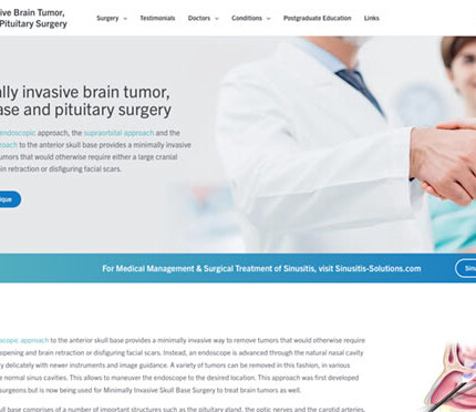 Endoscopic Skull Base Surgery